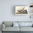 thumbnail image 3 of John James Audubon 'Rail' Canvas Art, 3 of 3