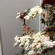 thumbnail image 4 of Curly Santa Cuchara Pintada Adornos de Navidad, Adornos de Navidad Divertidos, Adornos de Árbol de Navidad, 4 of 7