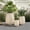 Beige, variant on 3-Piece Smooth MGO Round Planter Set, Indoor Outdoor Flower Pots with Drainage Holes, for Home Garden Patio, S M L Sizes