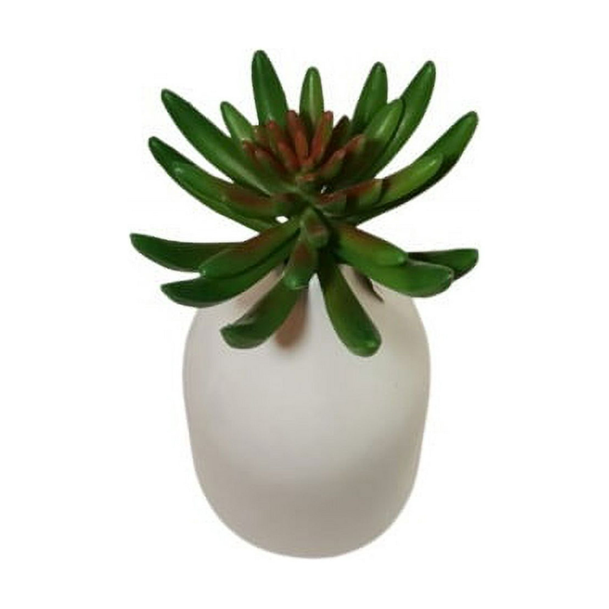 Cactus Decorativo Suculenta Verde 13 Cm