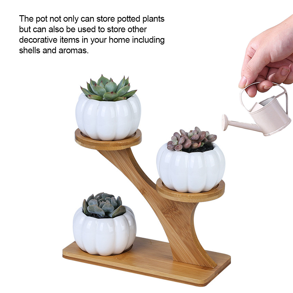 Modern Ceramic Plant Pot Bamboo Saucers Stand Holder for Home Office