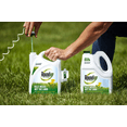 thumbnail image 4 of Roundup For Lawns 1 Refill (Northern) 1 gal., 4 of 7