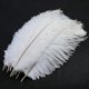 thumbnail image 4 of 10 piezas de plumas de avestruz naturales, para la decoración de la mesa del banquete de boda kaili Sencillez, 4 of 4