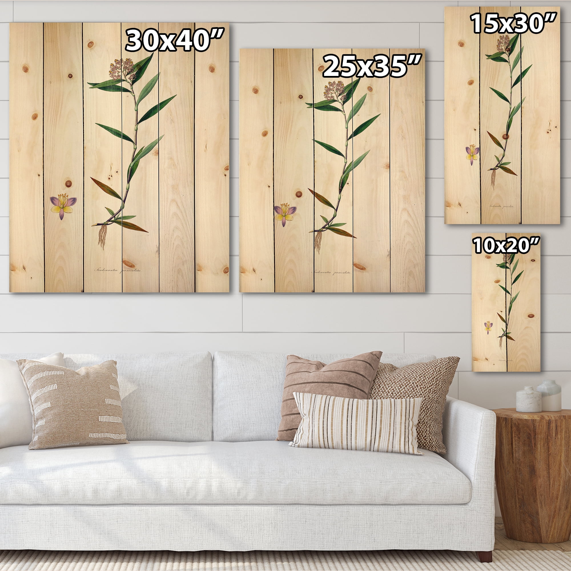 Designart 'Ancient Botanicals XIX' Farmhouse Print on Natural Pine Wood