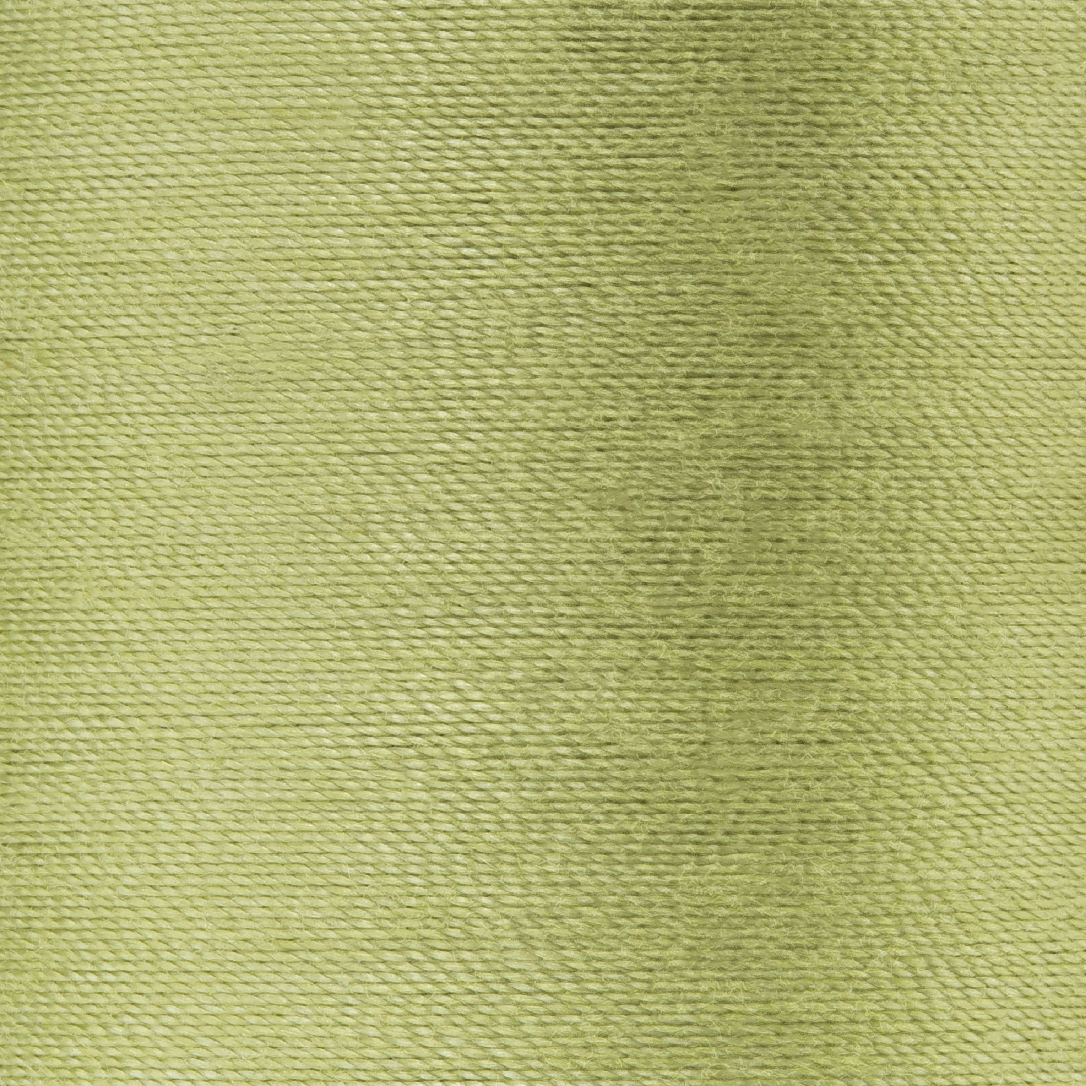 Coats & Clark All Purpose Light Olive Polyester Thread, 300 Yards