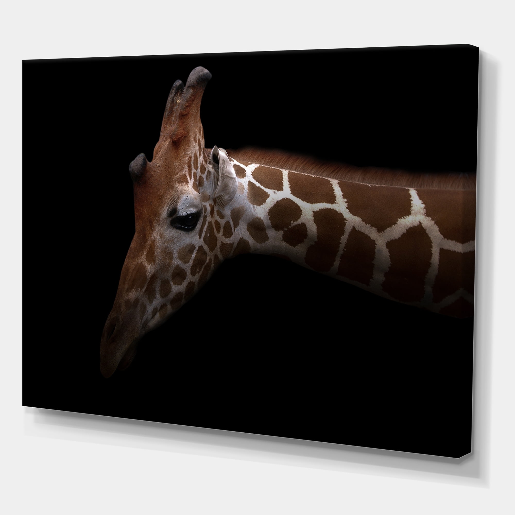 Designart ' Close Up Portrait of A Giraffe VIII ' Farmhouse Canvas Wall Art Print