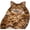 style1, variant on XIBUFE Giant Fluffy Cat Sleeping Bag for Adults - Soft Plush Cat Shaped Sleeping Bag for Human, Cozy & Warm Envelope Style Blanket Animal Shaped Sleep Bags for Home Camping Travel