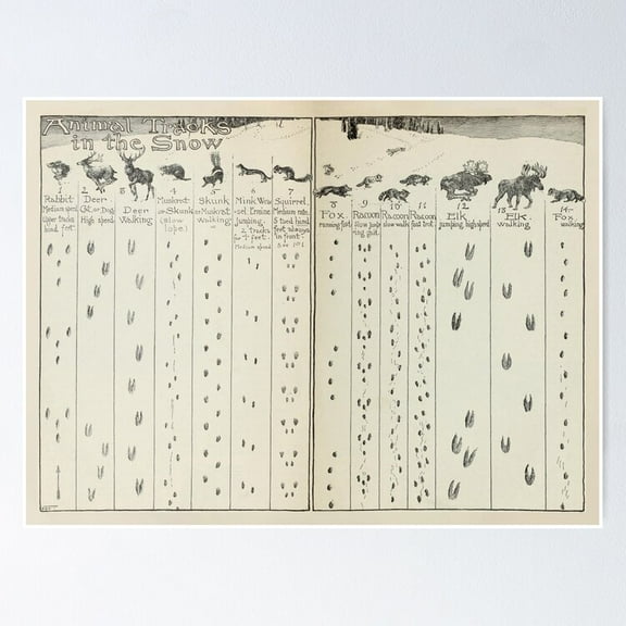 Poster Vintage Animal Tracks In The Snow Diagram (1912) - No Framed, Vintage Wall Art, Trendy Retro Print, Positive Quote Poster, Room Decor, Wall Art, Poster Only