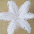 thumbnail image 5 of 10 Uds. 30-35cm plumas de avestruz grandes decoración artesanal para fiesta de boda, 5 of 5