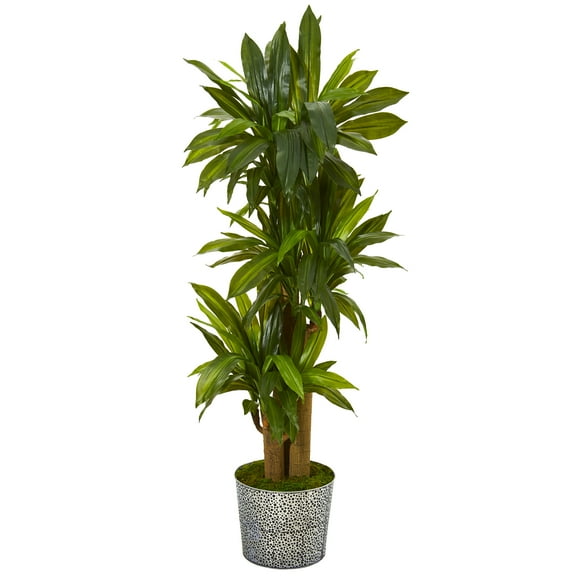 Nearly Natural 58" Corn Stalk Dracaena Artificial Plant in Planter (Real Touch), Green