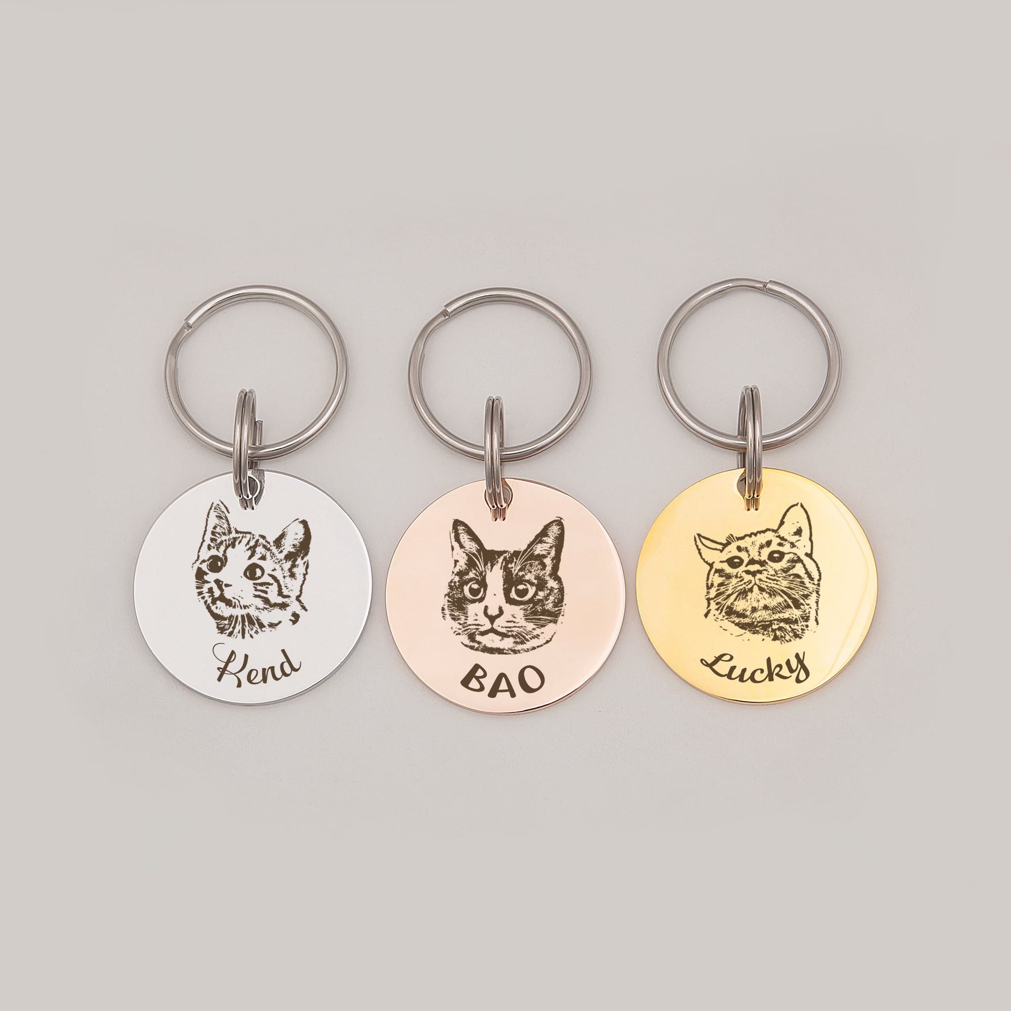 Anavia Metal Stainless Steel Round Name - Dog Picture Birthday Holiday Christmas Engraved Dog Cat ID Tag, Silver