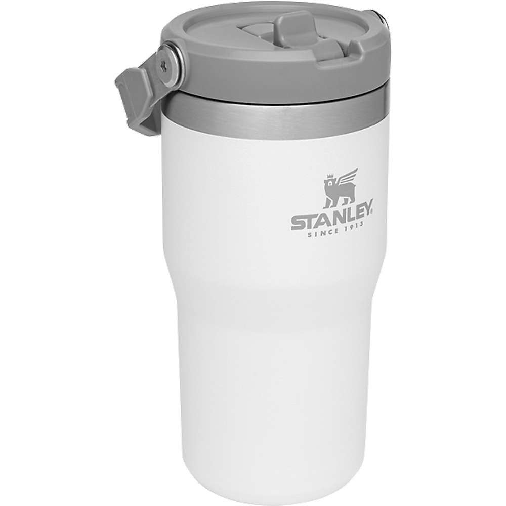 Stanley Classic IceFlow Stainless Steel Flip Straw Jug, 20 oz - Fry's Food  Stores