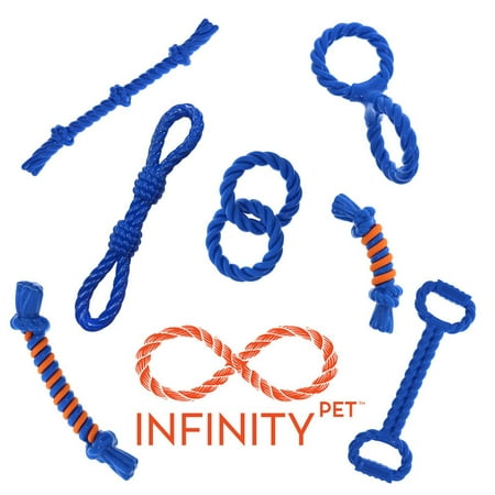 To InfinityPet & Beyond!