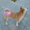 thumbnail image 6 of Washable Reusable Female Dog Diapers, Medium Large Small Dog Doggie Puppy & Doggy Diapers Female, Period Panties in Heat, 6 of 9