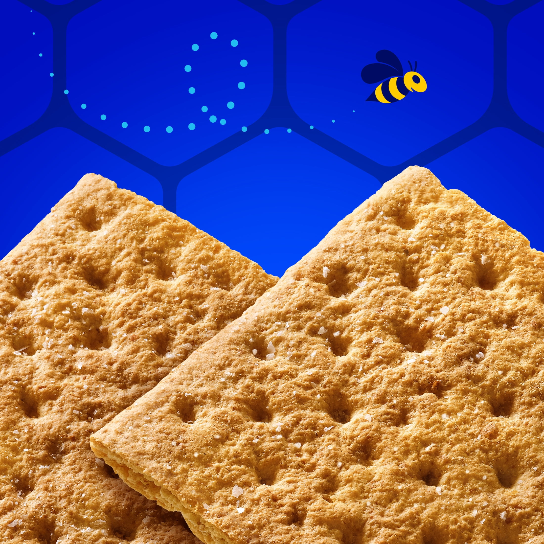 HONEY MAID Fresh Stacks Salted Caramel Graham Crackers, Travel Snacks, 12.2 oz (6 Multi Snack Packs)