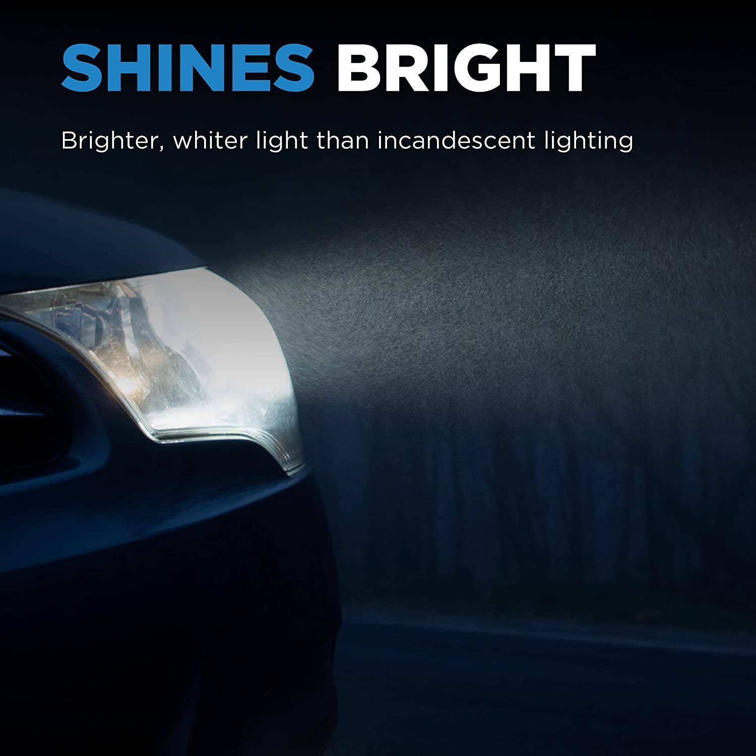 Headlight Bulb