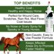 thumbnail image 4 of Tratamiento para la podredumbre del casco Pure Sole Thrush Dust 240 mL para caballos, 4 of 9