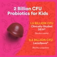 thumbnail image 5 of SmartyPants Kids Probiotic Supplement Gummies, 2 Billion CFU, Probiotic for Kids, Grape, 30 Ct, 5 of 13