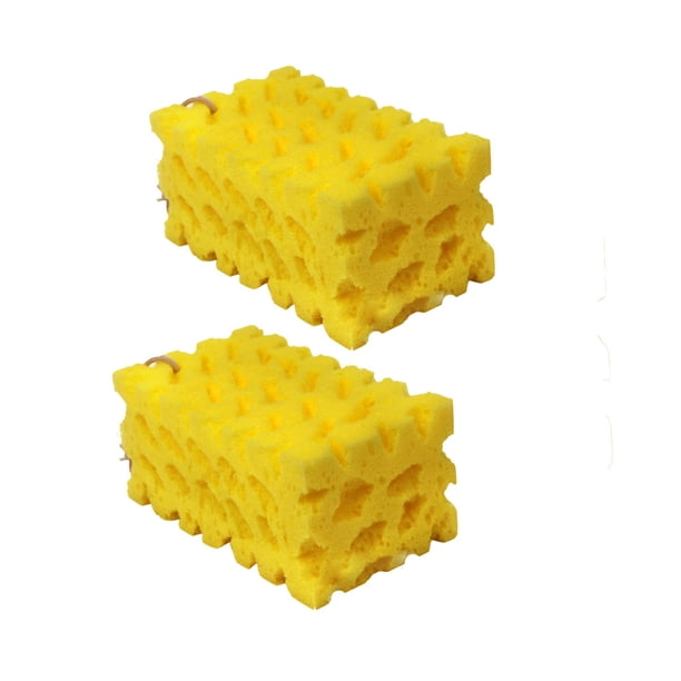 Esponja extragrande para lavado de coches Esponja coral Bloque de limpieza Lavado Panal
