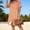 Orange, variant on Women's Plus Size Short Sleeve Dresses Striped Loose Resort Shirt Dress