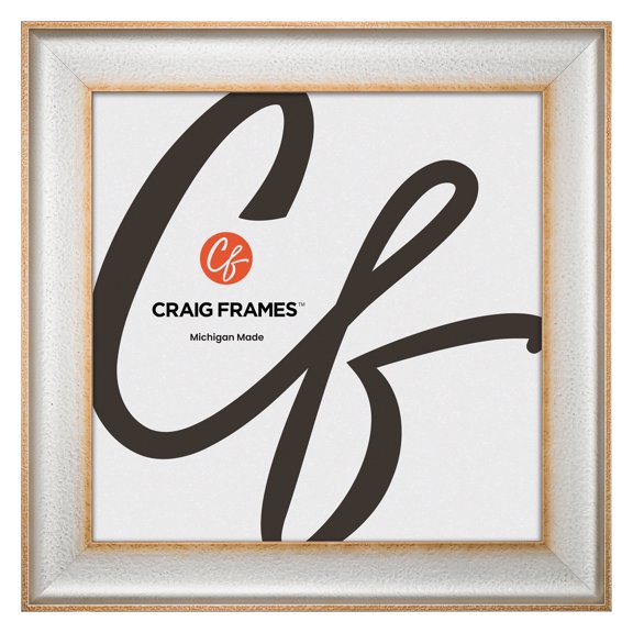 Craig Frames Cairo, 24x24 Picture Frame, Silver