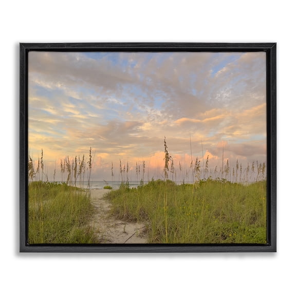 Stupell Industries Serene Coastal Path Grasses Landscape & Nature Photography Black Floater Framed Canvas Art Print Wall Art, 21 x 17