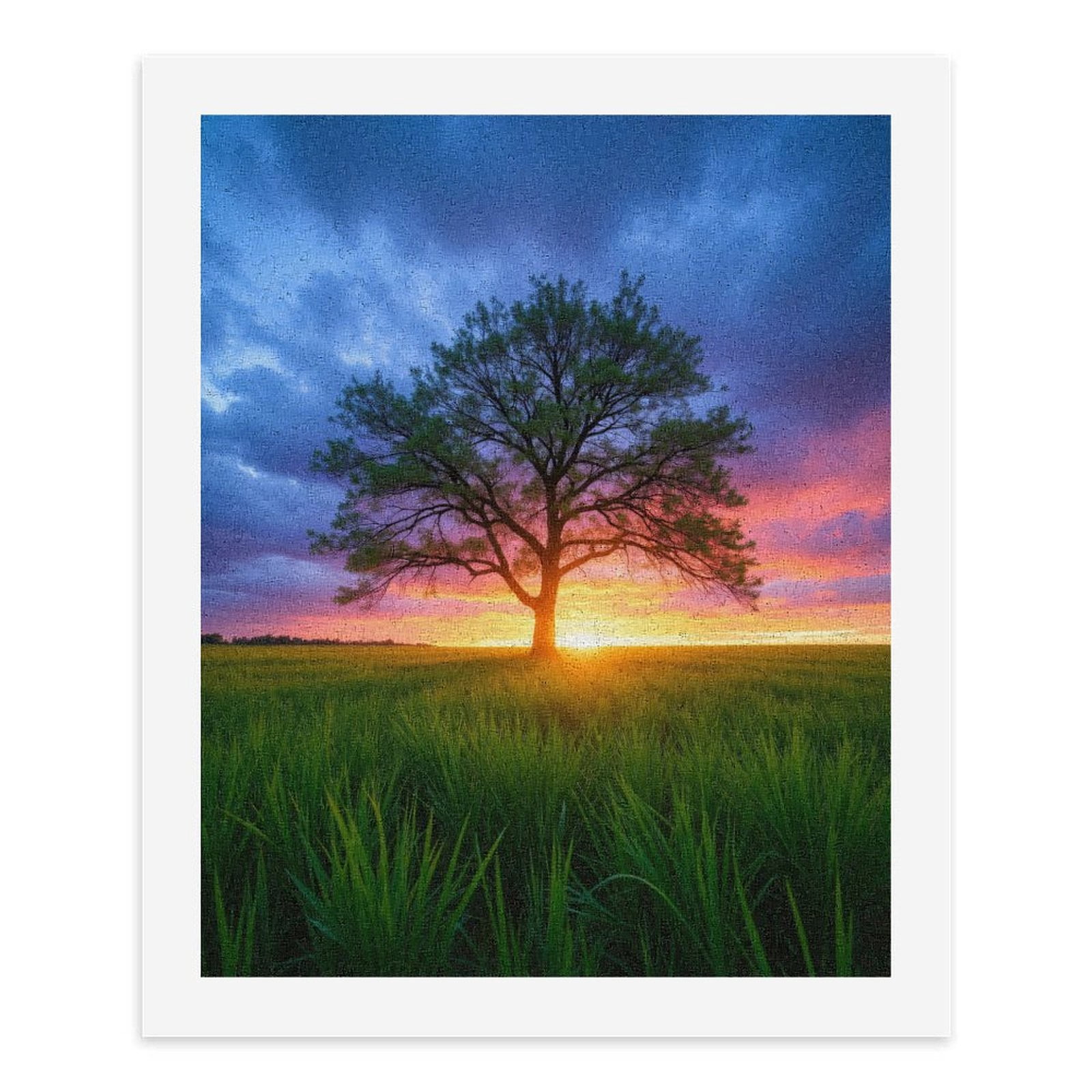 Paint by Numbers Kit for Adults, Sunset Tree Serenity Field Sky Paint by Numbers, Easy Paint by Numbers Kit for Adults Beginner, DIY Adult Paint by Number Kits on Canvas, 12x16in Home Decor