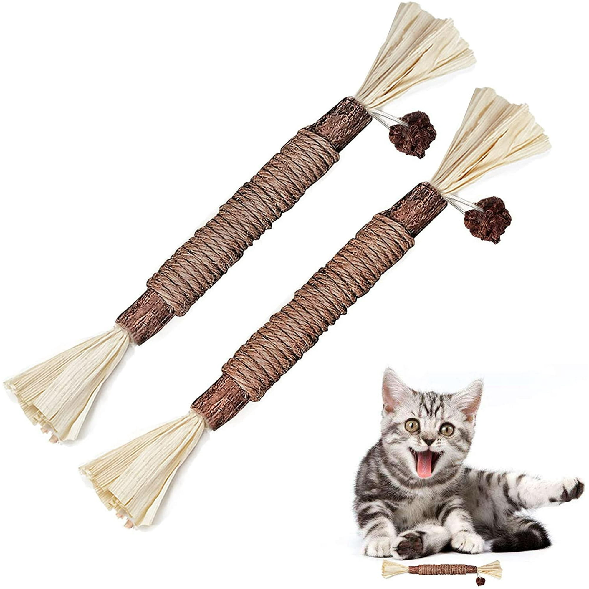 Interactive cat dental toy hotsell
