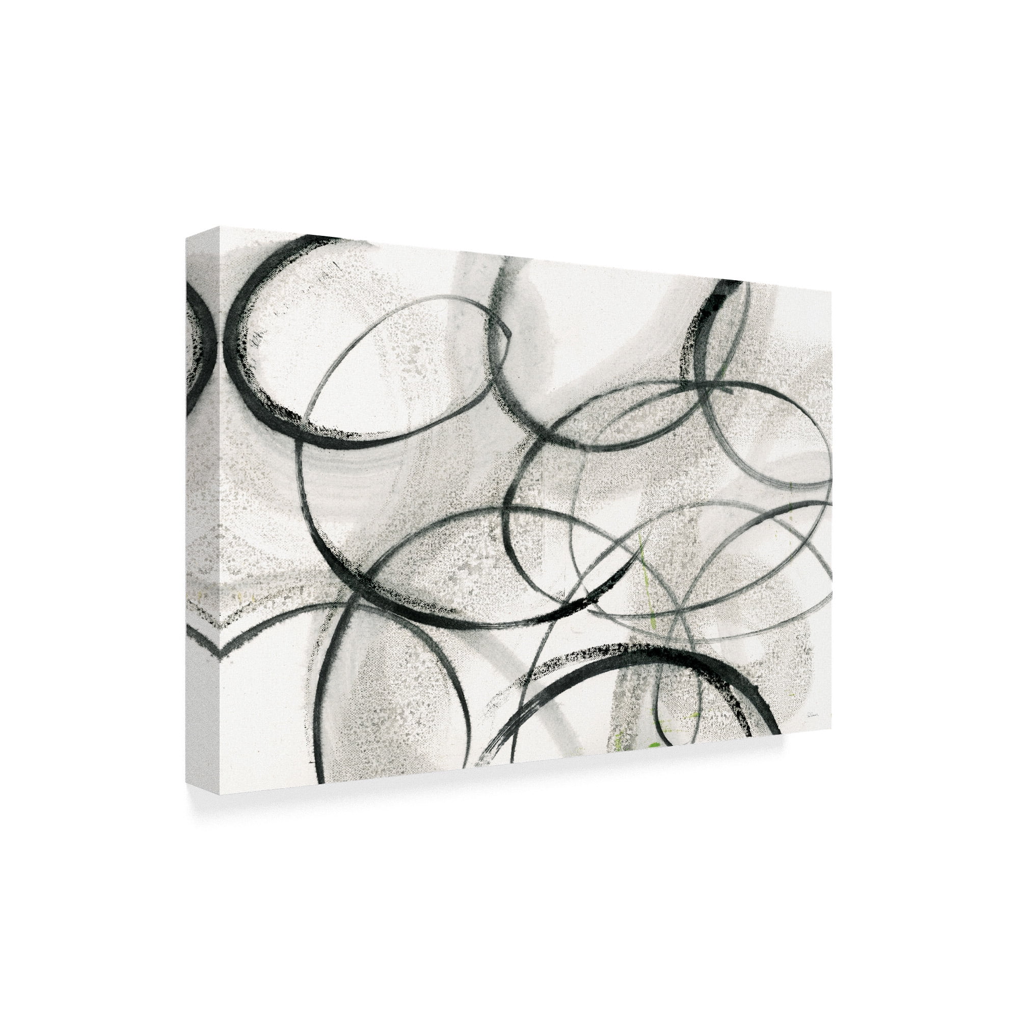 Trademark Fine Art 'Imprints' Canvas Art by Sue Schlabach