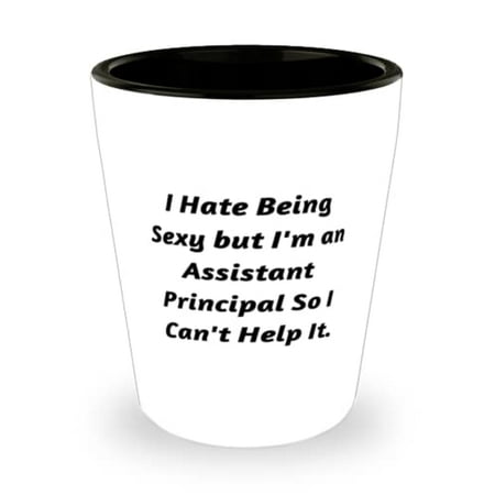 

I Hate Being Sexy but I m an Assistant Principal. Assistant principal Shot Glass Cute Assistant principal Ceramic Cup For Men Women