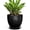 Black, variant on Wliror 6 Inch Mint Green Ceramic Plant Pot with Drainage – Cool Pastel Planter for Indoor Plants, Succulents, Herbs