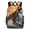 HuWng-2, variant on Dinosaur Surfing Epic Sunset Wave Backpacks for Backpack for Bookbag