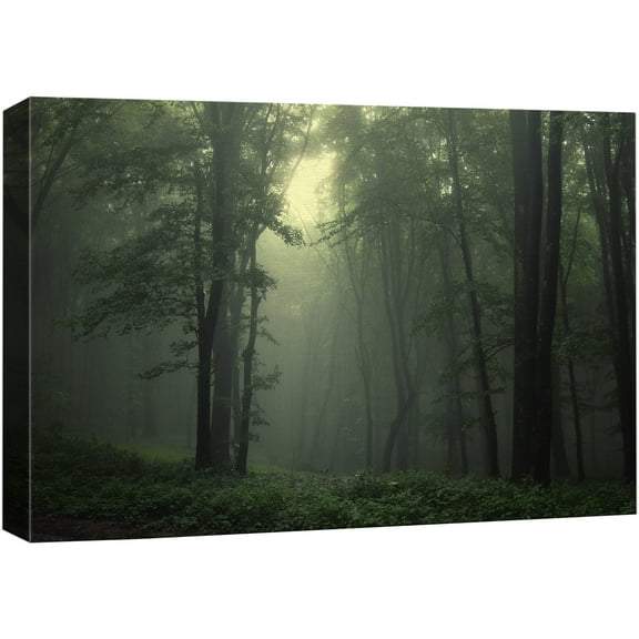 wall26 Canvas Print Wall Art Beam of Light in Dreamy Green Forest Nature Wilderness Photography Modern Art Rustic Scenic Colorful Multicolor for Living Room, Bedroom, Office - 24"x36"