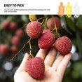 thumbnail image 4 of 3 unids Prácticos Picaduras de frutas de gran altitud de plástico Herramientas de picking de frutas al aire libre, 4 of 7