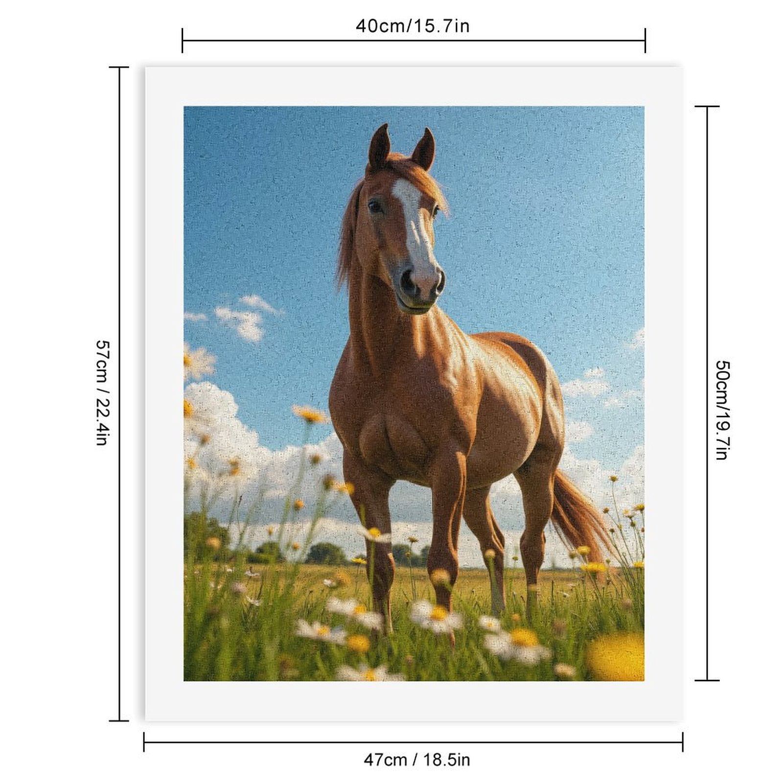 Paint By Numbers Kit for Adults Beginner - DIY Graceful Horse In Blooming Meadow Canvas Painting Kits for Adults, Frameless Paint By Number for Adults for Home Wall Decor 16x20 Inch