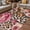 Brown, variant on Pink Flowers Outdoor Rug for Patio/Deck/Porch, Non-Slip Large Area Rug 5 x 7 Ft, Leopard Spot Vintage Floral Country Plants Indoor Outdoor Rugs Washable Area Rugs, Camping Rug Carpet Runner