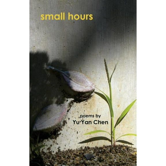 Small Hours, Firsttion ed. (Paperback)