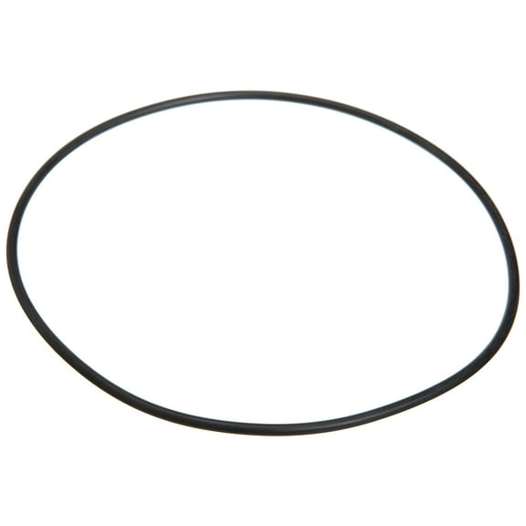 Pentair 35505-1275 #2-258 Buna-N O-Ring WC112-148 WC112-148A