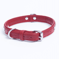 thumbnail image 3 of Os ROTTERDAM en Cuir pour Collier de Chien à une Rangée d'Os, 3 of 3