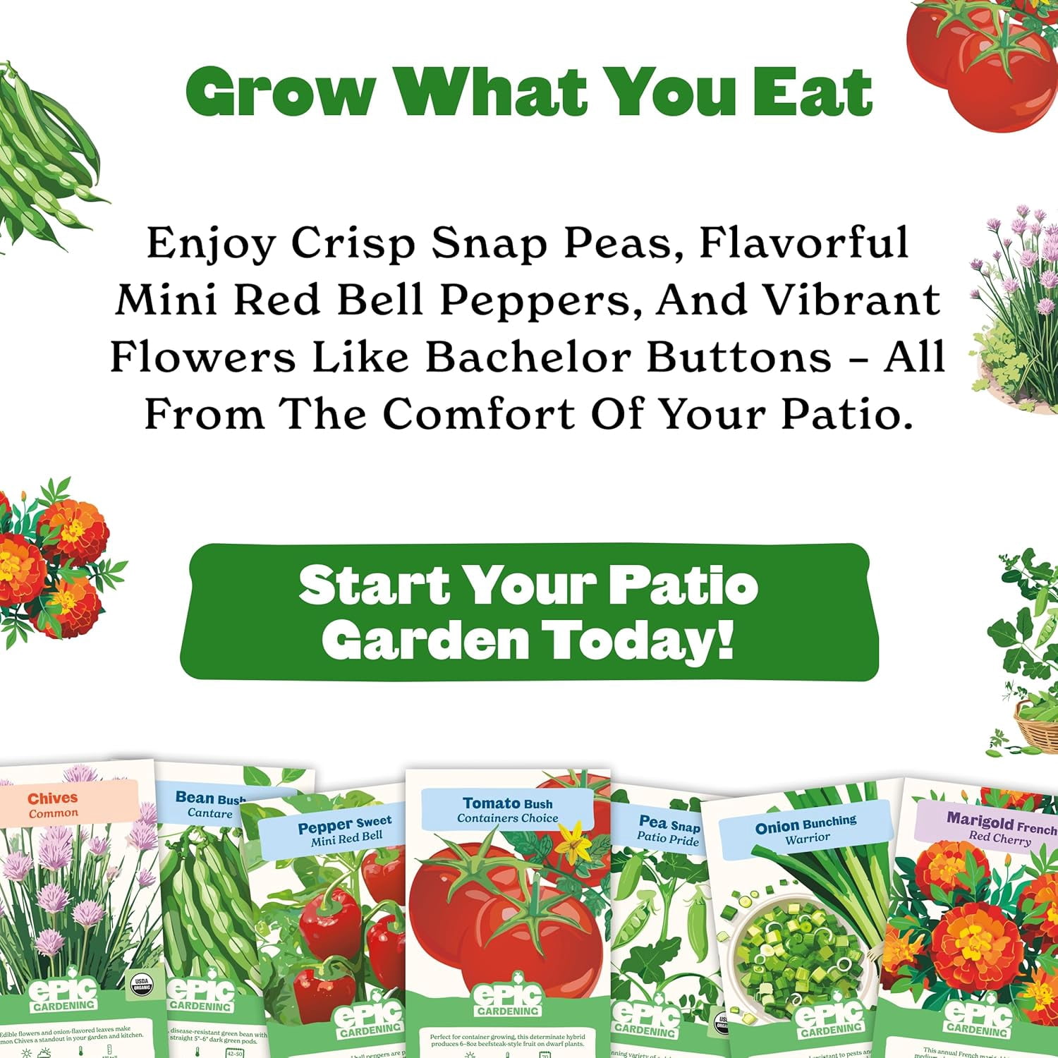 Epic Gardening Beginner Patio Garden Seed Kit, 7 Compact Varieties for Small Spaces, Includes Peppers, Beans, Tomatoes & Flowers, Non-GMO Seeds
