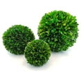 thumbnail image 2 of Drevy Preserved Boxwood 6" s, 2 of 4