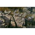 thumbnail image 2 of Goebel, Wilhelm 18x13 White Modern Wood Framed Museum Art Print Titled - Rimrock Covey - Chukars, 2 of 4