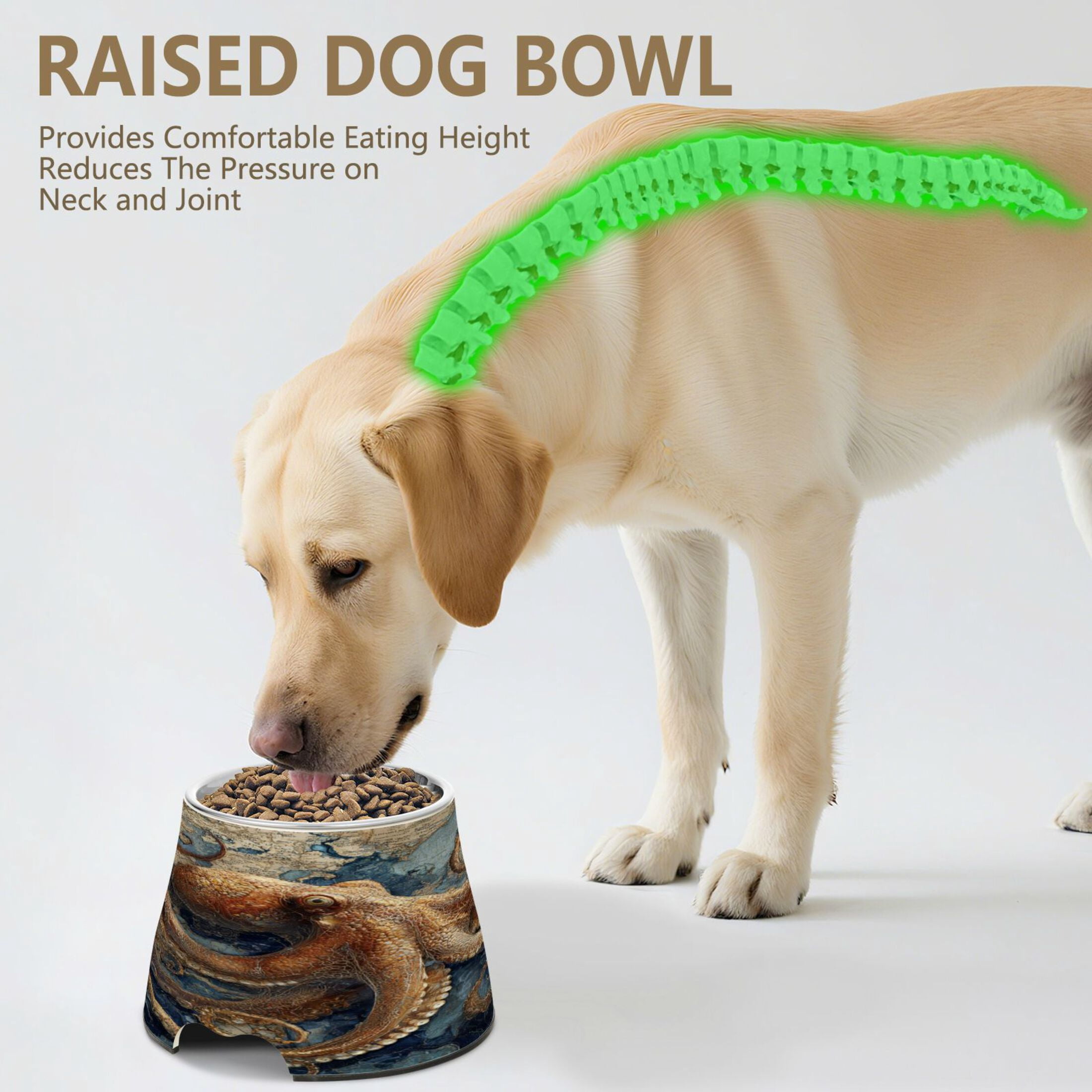 Raised Pet Bowl with Removable Stainless Steel Insert Anti-Slip No-Tip Dog Bowl for Small to Medium Pets Deep Sea Octopus