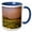 Blue/White, variant on 3drose, Wildflower Meadow, Bighorn Mountains of Wyoming - Us51 Cha0051 - Chuck Haney, 11oz Two-tone Green Mug