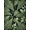 Green, Pattern 5, variant on ODIKA 4' x 6' Machine Washable Non-Slip Area Rug, art nouveau floral High Traffic Rug, Green, 1149587