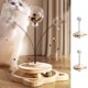 thumbnail image 1 of Juguetes para Perros, Bolas de Hierba Gatera Giratorias de Madera Maciza con Resorte y Palo de Juguete para Gatos, Juego Interactivo con Agujeros Pequeños, Paquete de 2., 1 of 6
