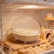 thumbnail image 5 of Casa de baño de arena pequeña transparente con forma de dinosaurio y puerta lateral para hámsteres, jerbos, ratones y mascotas enanas, 17x12.2x10 cm, 5 of 7