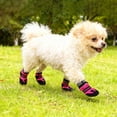 thumbnail image 2 of JHEHF Non Slip Dog Socks Boots Pet Walking Shoes Summer HeatResistant Waterproof Soft Boots for Outside Outdoor Warm Travel Small Medium Dogs, 2 of 8
