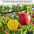 thumbnail image 5 of 6pc Yellow Sticky Fly Trap Balls – Citrus-Shaped Insect Catcher for Fruit Flies, Gnats & Mosquitoes, Non-Toxic Physical Capture, Indoor Outdoor Use Near Kitchens, Plants & Gardens, 5 of 6