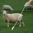 thumbnail image 6 of Leg Crook Sheep Catcher Animal Hook with Nonslip Grip Portable Livestock Supply for Garden and Farm Use, 6 of 9
